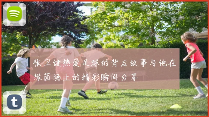 张卫健热爱足球的背后故事与他在绿茵场上的精彩瞬间分享
